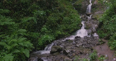 Mountain stream in the forest during the rain Stock Footage 128707823