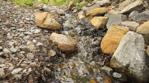 Mountain stream in forest Stock Footage 5298362