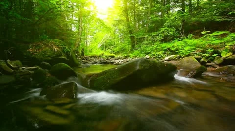 Mountain stream in the forest Stock-Footage 20453866