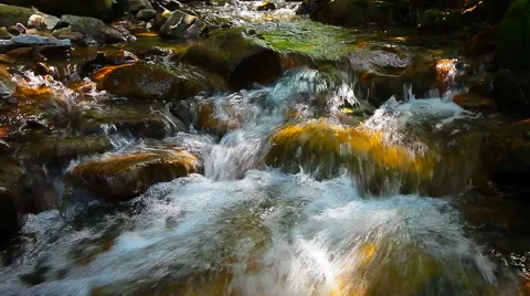 Mountain stream in the forest Stock Footage 41209445