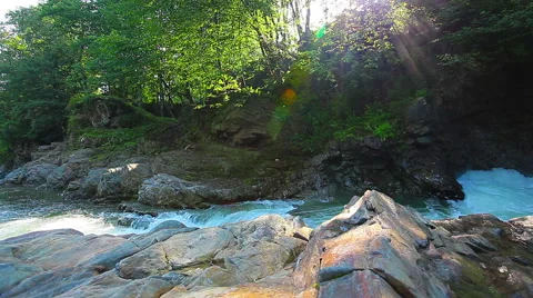 Mountain stream in the forest 库存影片 41336759