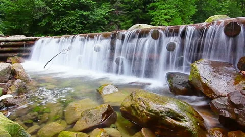 Mountain stream in the forest Stock Footage 41398347