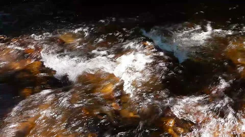 Mountain stream in the forest Stock Footage 41444085