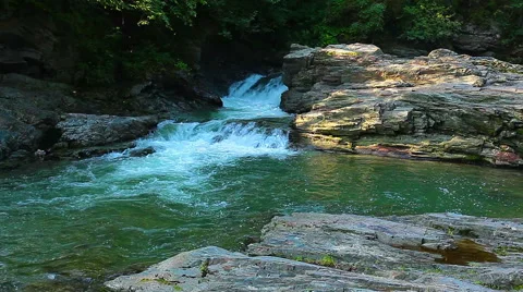 Mountain stream in the forest 库存影片 41575385