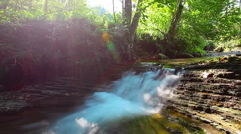 Mountain stream in the forest Stock Footage 41609261