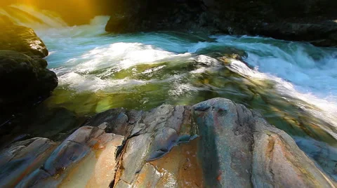 Mountain stream in the forest Stock Footage 41646725