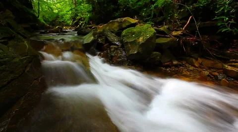 Mountain stream in the forest Stock Footage 41663892