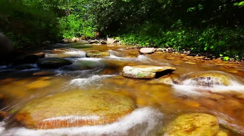 Mountain stream in the forest Stock Footage 51871216