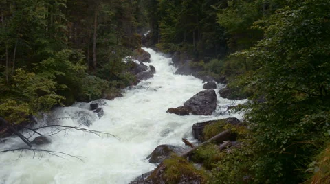 Mountain stream in the forest. Stock Footage 52009284