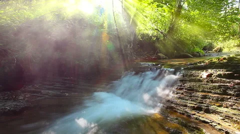 Mountain stream in the forest Stock Footage 53463872