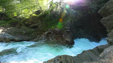 Mountain stream in the forest Stock Footage 53488190