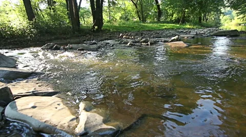 Mountain stream in the forest Video stock 55768620
