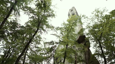 Mountain stream in the forest Stockbeeldmateriaal 65781414