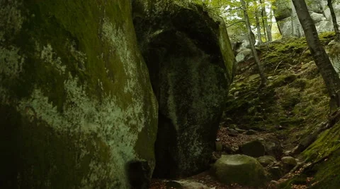 Mountain stream in the forest Stockbeeldmateriaal 65781442