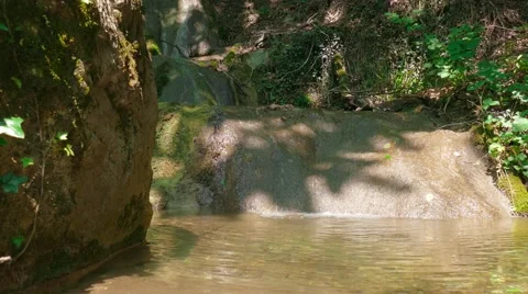 Mountain stream in the forest Stock Footage 67559479