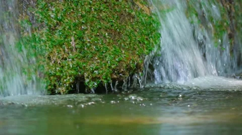 Mountain stream in the forest Stock Footage 67559894