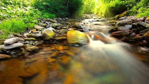 Mountain stream in the forest Stock Footage 76525104