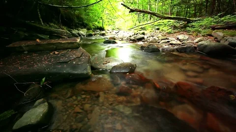 Mountain stream in the forest 库存影片 81239224