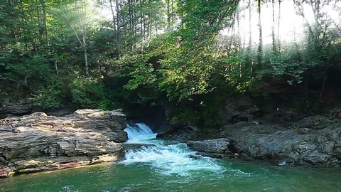 Mountain stream in the forest 库存影片 84255779