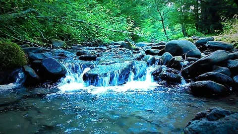 Mountain stream in the forest Stock Footage 84740356