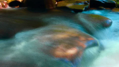 Mountain stream in the forest Stock Footage 94624522