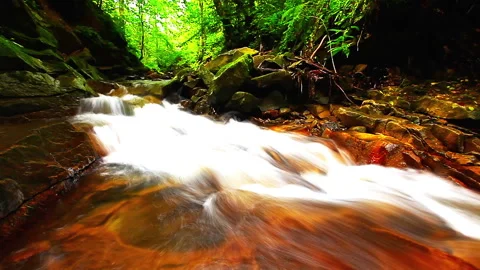 Mountain stream in the forest Stockbeeldmateriaal 94647976