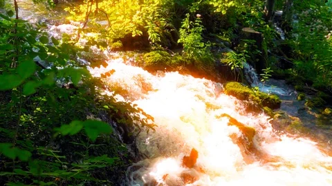 Mountain stream in the forest Stock Footage 113603250
