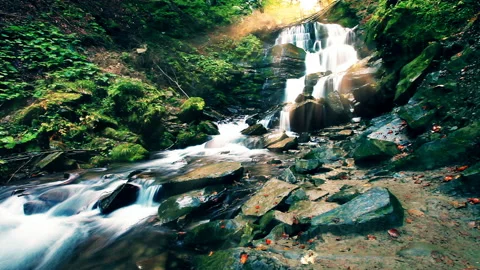 Mountain stream in the forest Stock Footage 120730719