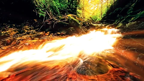 Mountain stream in the forest Stock Footage 120828347