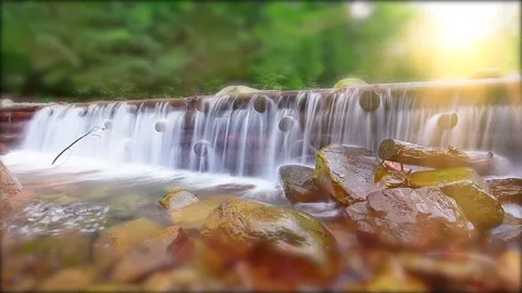 Mountain stream in the forest Stock Footage 123288066
