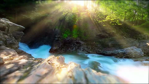 Mountain stream in the forest Stock Footage 123761232