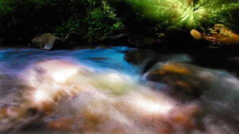 Mountain stream in the forest 库存影片 125249682
