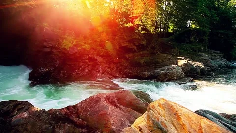 Mountain stream in the forest Stock Footage 143319677