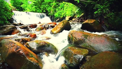 Mountain stream in the forest 库存影片 144102882