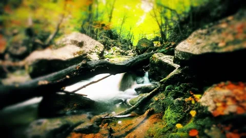 Mountain stream in the forest Stock Footage 145843545