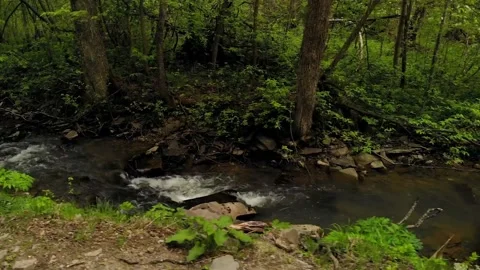 mountain stream in the forest	 Stock Footage 149318298