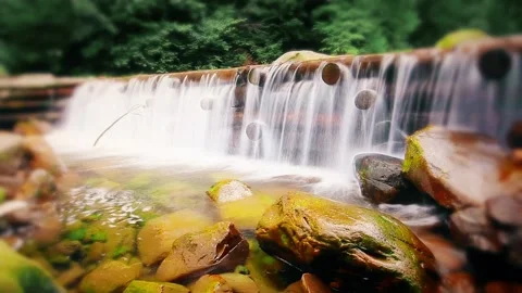 Mountain stream in the forest 库存影片 150818687