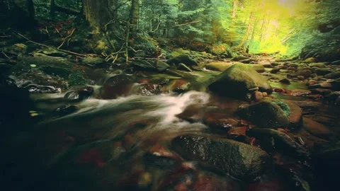 Mountain stream in the forest Stockbeeldmateriaal 155349357