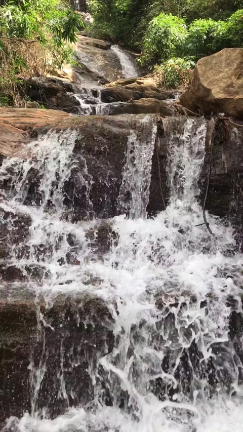 Mountain stream in the forest Stock Footage 170508632