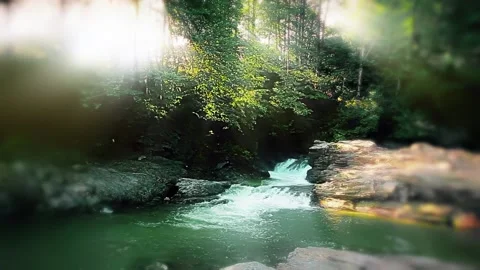 Mountain stream in the forest Stock Footage 201600326