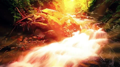 Mountain stream in the forest 库存影片 219624085
