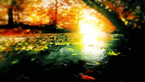 Mountain stream in the forest Stock Footage 221687663