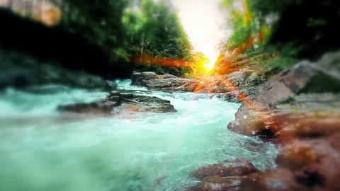 Mountain stream in the forest Stock Footage 248295391