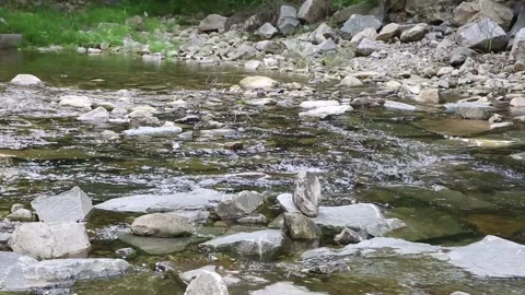 Mountain stream in the forest Video stock 306034094