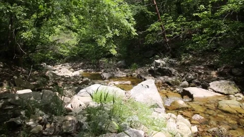 Mountain stream in the forest Stock-Footage 306034110