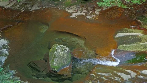 A mountain stream in the forest Stock Footage 324559613