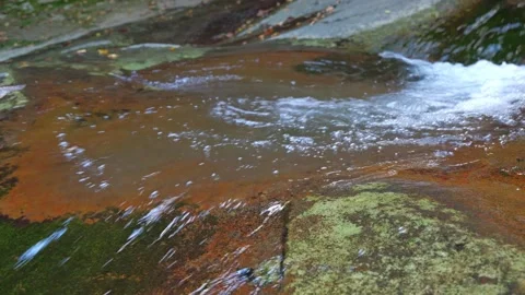 A mountain stream in the forest Stock Footage 324559919