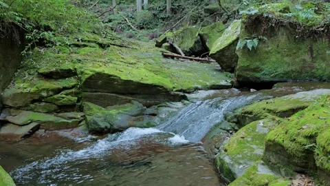A mountain stream in the forest Stock Footage 324560054