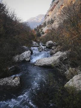 Mountain stream in forest landscape at spring.Forest Crimean landscape Stock Photos