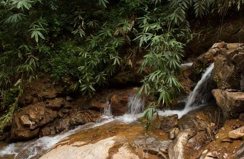 Mountain stream in the forest, long exposure picture Stock Photos
